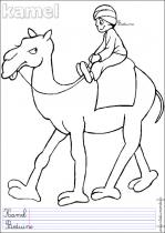 coloriage-chameau-3